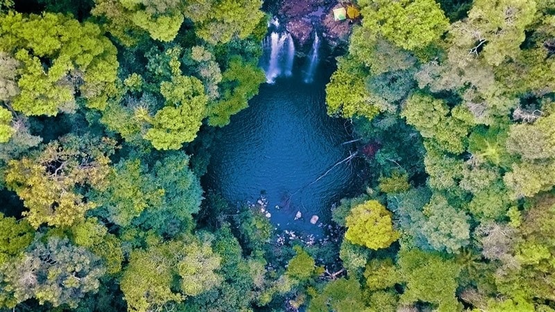 Bỏ phố về rừng, xuống biển trong 1 chuyến đi: Xu hướng mới gây bão